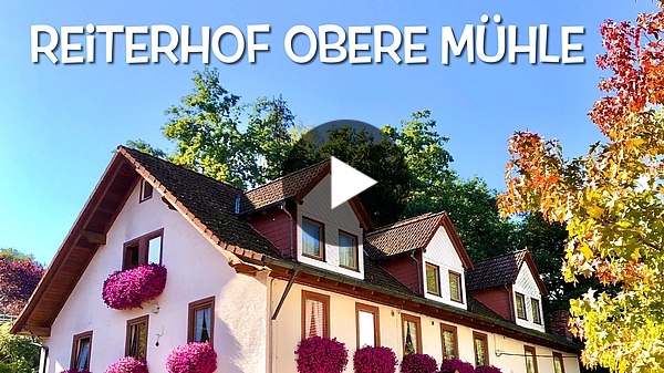 Herbstimpressionen mit Ausritt im Spessartwald