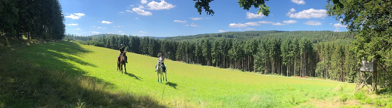 Gerade erwachsene Reiter, Späteinsteiger und Wiedereinsteiger genießen bei einem Reiterurlaub im Reiterhof Obere Mühle ein einmaliges Erlebnis mit unseren lieben und charakterstarken Schulpferden