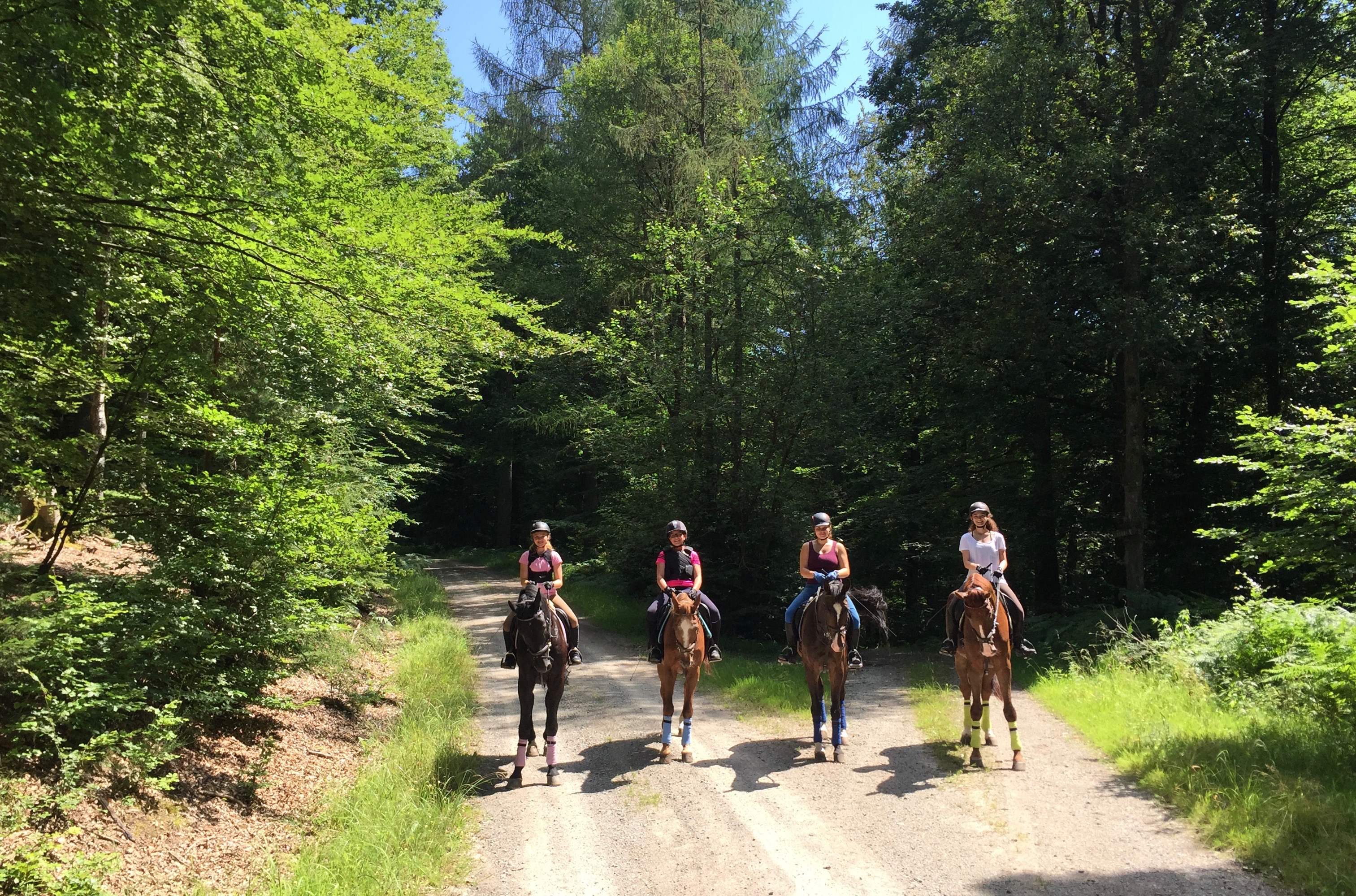 Ausreiten im Gelände :: Reiterhof Obere Mühle